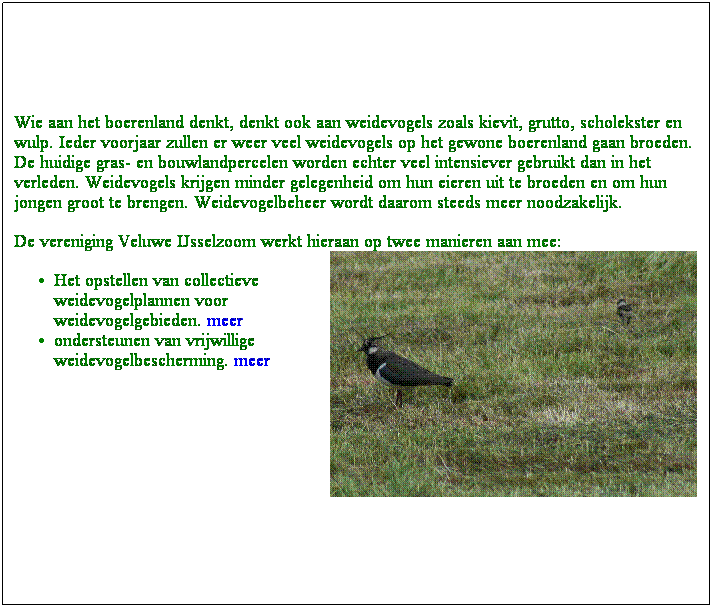 Text Box: Wie aan het boerenland denkt, denkt ook aan weidevogels zoals kievit, grutto, scholekster en wulp. Ieder voorjaar zullen er weer veel weidevogels op het gewone boerenland gaan broeden. De huidige gras- en bouwlandpercelen worden echter veel intensiever gebruikt dan in het verleden. Weidevogels krijgen minder gelegenheid om hun eieren uit te broeden en om hun jongen groot te brengen. Weidevogelbeheer wordt daarom steeds meer noodzakelijk.
De vereniging Veluwe IJsselzoom werkt hieraan op twee manieren aan mee:
Het opstellen van collectieve weidevogelplannen voor weidevogelgebieden. meer
ondersteunen van vrijwillige weidevogelbescherming. meer
 
